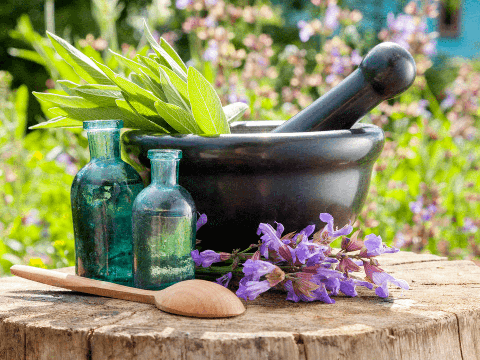 Herbs for medicinal baths for osteochondrosis